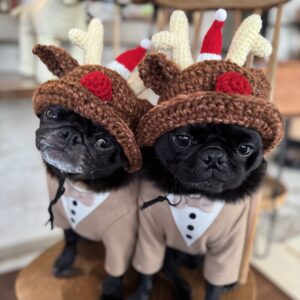 トナカイハット