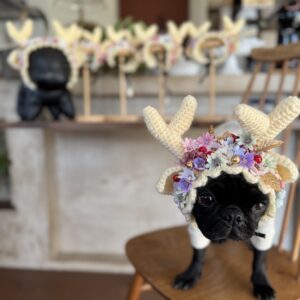 フラワートナカイ